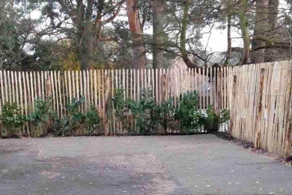 Ferienwohnung Green Garden Berlin Eksteriør billede